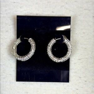 Banana Republic Elegant Silver Crystal Hoop Earrings